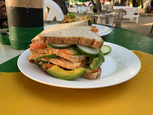 These 4 slices of bread, with tomato, cucumber, and tomatoes (no sauce or anything else) cost us about $18... 😰 at Mosha's Reggae Lounge in Sosua
