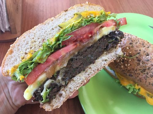 well done! at Manati Vegetariano in Santiago