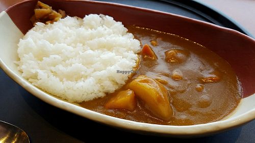 vegetarian / vegan Curry at NRT - Miso Kitchen - T1 in Narita