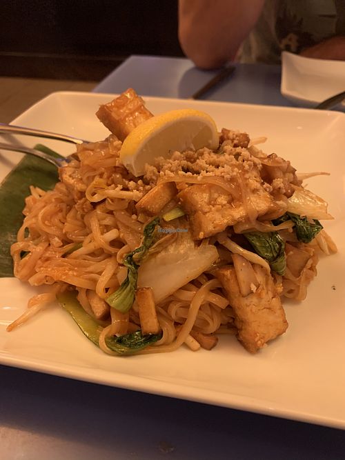 Vegan pad Thai, delicious! at Mia Tapas Bar & Restaurant in Ithaca