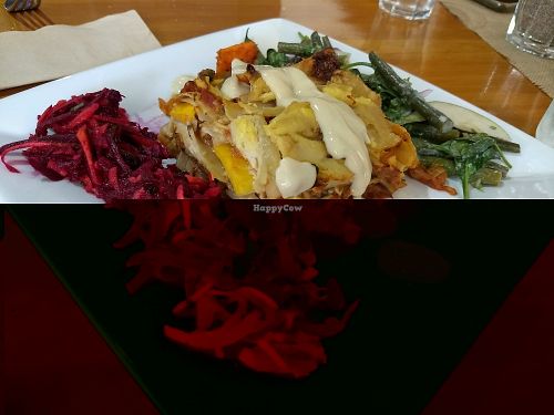 Cheesy Lasagne Bake at Harvest Hangout in Gisborne