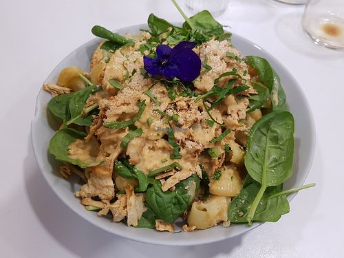 Mac'n cheese at Aujourd'hui Demain Cafe in Paris