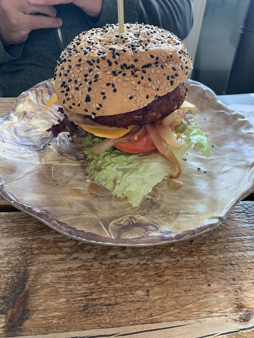 Spicy vegan burger at De Zeemeeuw in Noordwijk