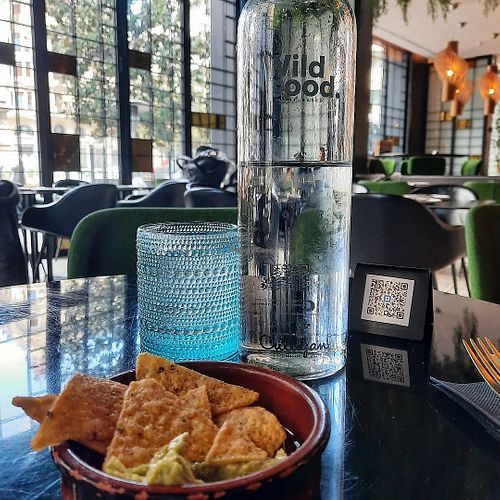 Complimentary nachos and guacamole at Wild Food in Granada