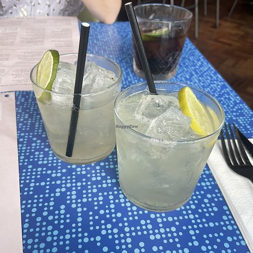   at Turtle Bay in Guildford