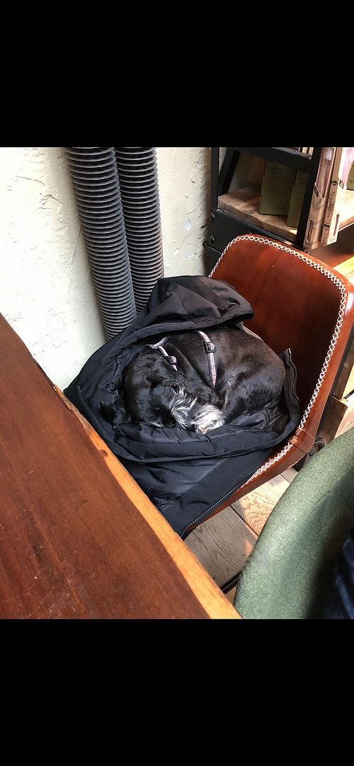 Er war definitiv mit ihm Robuust 🥰  at Robuust Foodies & Goodies in Den Helder