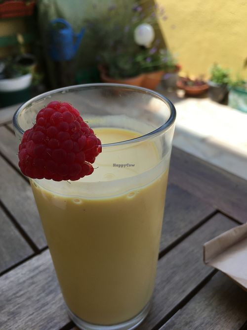 Mango laci at Bosque in Sintra