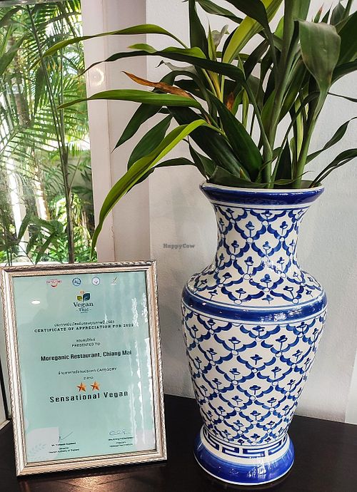 Awards at Moreganic Restaurant at Away Chiang Mai Thapae Vegan Retreat in Chiang Mai