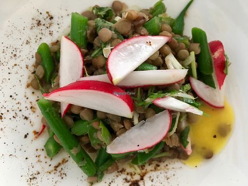 Salad of lentils, radish, and green beans.  at Sud - Food of Italy in Bruges