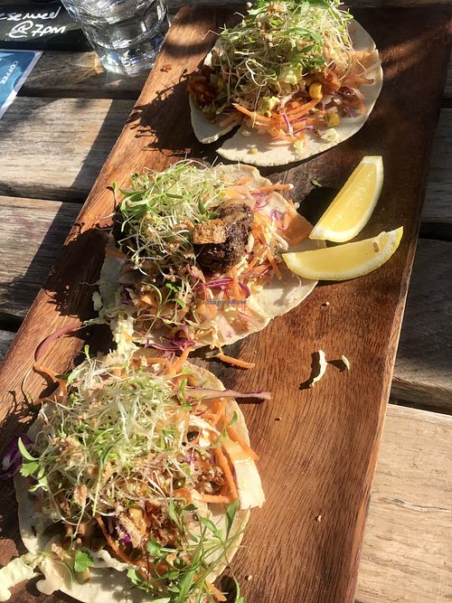 vegan tacos at Yonder in Queenstown