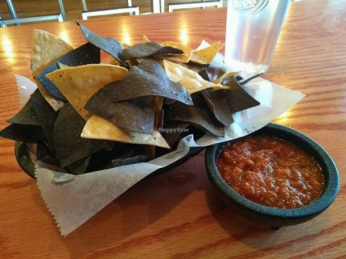 chips at The Burger Stand at Taos Ale House in Santa Fe