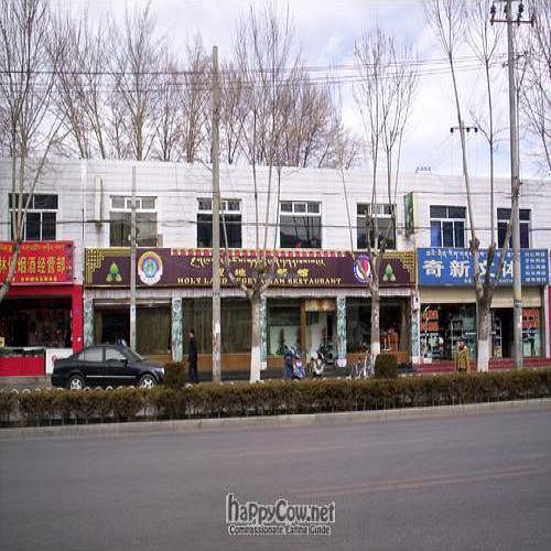  at Holy Land Vegetarian Restaurant in Tibet