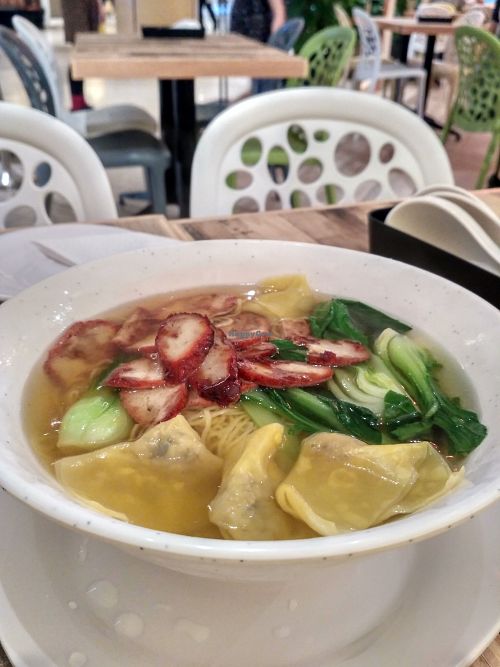 Soupy Wonton Noodle  at Nature Cafe - Suntec City in Central Singapore