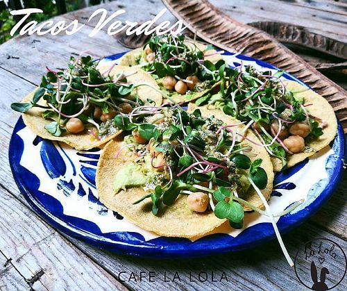 Tacos verdes at Cafe La Lola & Guesthouse in Cancun