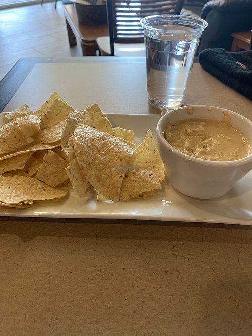Vegan Queso at Bike Stop Cafe in Chesterfield