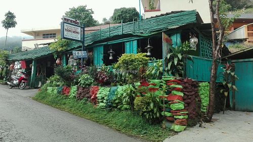 Good place! at Yang Ming in Mae Salong