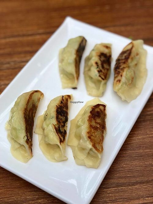 Japanese Gyoza 
Photos Credit to Cheryl  at Soul ALife in Central Singapore