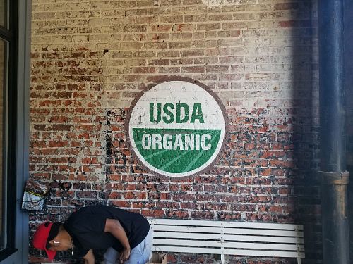 Organic logo painted on brick at Press Brothers Juicery and Kitchen in Hollywood