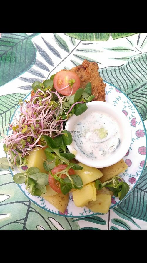 Image of Kuchnia PoWolność