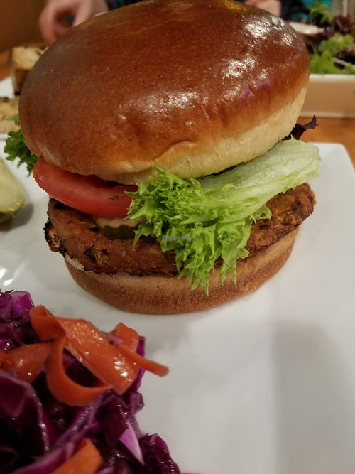 local-ingredient house-made veggie burger on a toasted bun at Feed the World Cafe in Kalamazoo