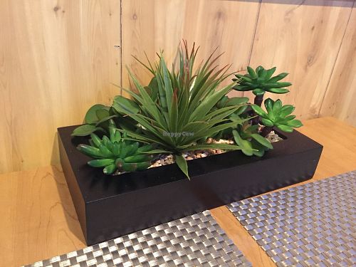 Beautiful arrangement of healthy plants on our table! at Thai Vegan in San Antonio