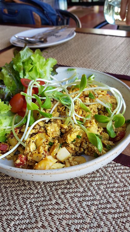 Tofu scrambled egg at Goodsouls Kitchen in Chiang Mai
