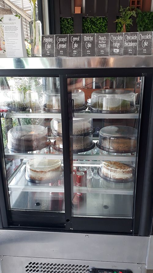 Cake at Alchemy Vegan in Chiang Mai