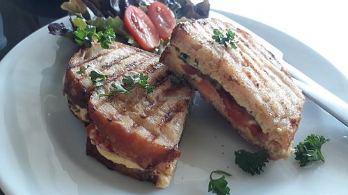 Vegan cheese panini at Alchemy Vegan in Chiang Mai
