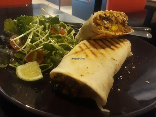 Amazing hearty beast of a wrap at Alchemy Vegan in Chiang Mai