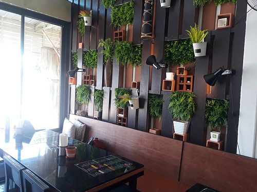 Inside at Alchemy Vegan in Chiang Mai