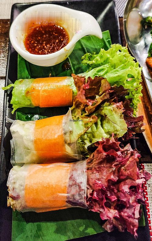 Fresh Spring Rolls at Yes Vegan in Pattaya