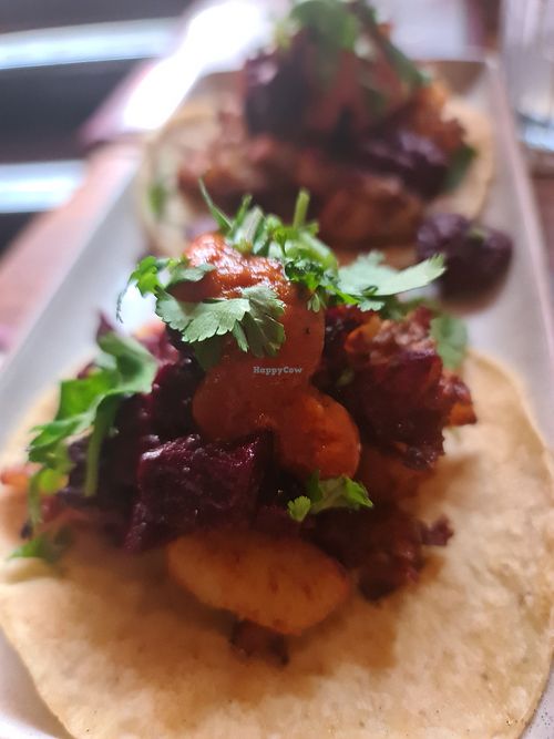  at Bodega Underground in Melbourne