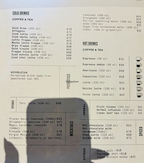 Menu - Cold Drinks, Hot Drinks and Herbal Drinks   at The Green Place in Puerto Vallarta