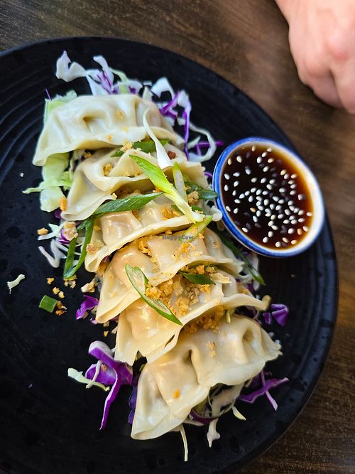 Steamed dumplings at Samata Vegan House in Hollywood