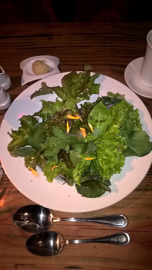 Salad with lots of different types of leaves at Martin Pescador in Futaleufu