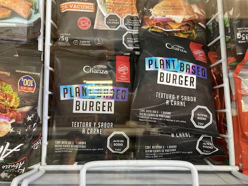 Vegan burger at Mini Market in Futaleufu