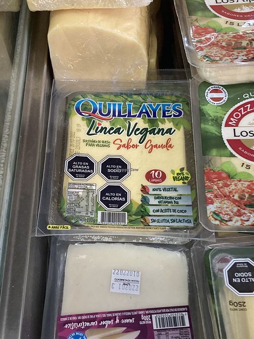 Vegan cheese (no palm oil) at Mini Market in Futaleufu