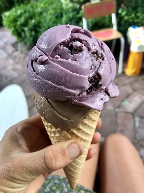 coconut blackberry crumble and coconut dark chocolate cacao nibs at Utopia Ice in Christchurch