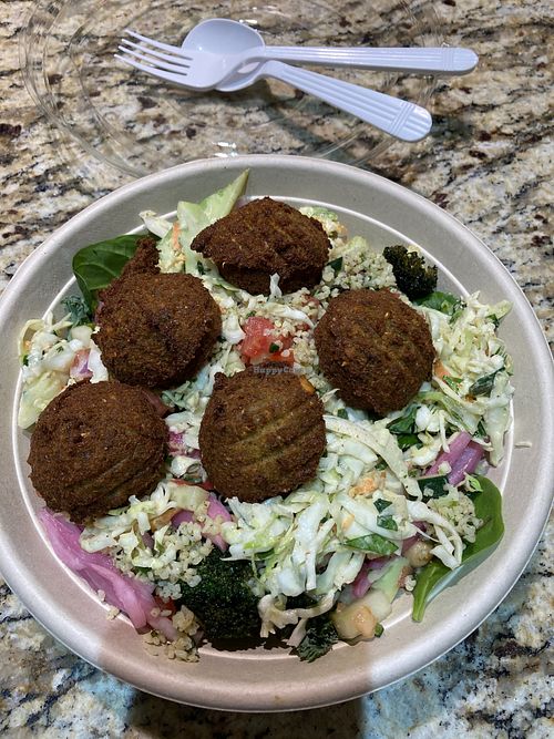 Salad at Maoz in Wellington