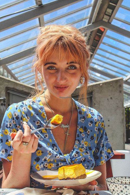 Vegan Mango Cheesecake at Krishna Food Wellington! at Krishna Food - Kelburn Campus in Wellington