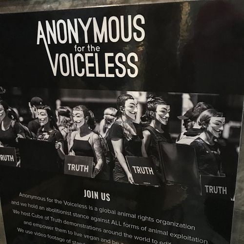 Awesome poster inside restaurant  at Warung Falafel in Ubud