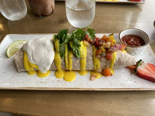 Image of The Moth Cafe - Downtown