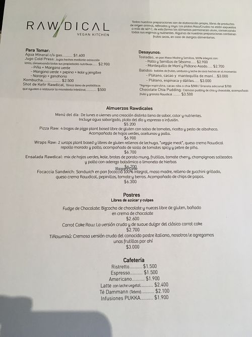 menu at Rawdical Vegan Kitchen in Santiago