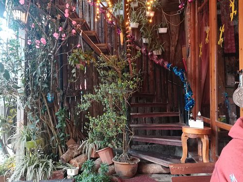 Outside at Le Gecko in Sapa