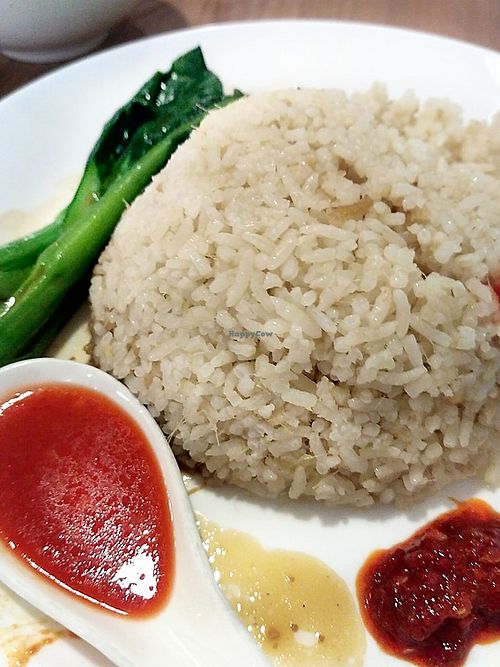 Chicken Rice (Veg) at Maitree Cafe 慈素轩 in Central Singapore