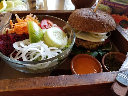 Vegan burger (tofu base) with side salad at La Bruja Vegan Foods in Antigua