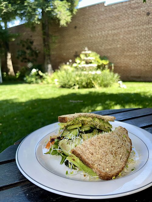 Eat in the peaceful garden behind Watson’s! Vegetarian sandwich on multigrain bread  at Watson's Veggie Garden in Visalia