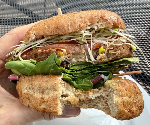 Black bean burger on sprouted grain bun with greens, tomatoes, onion & sprouts (minus mayo). Delicious !  at Watson's Veggie Garden in Visalia