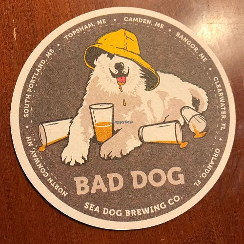 Bad dog at Sea Dog Brewing Co in Bangor