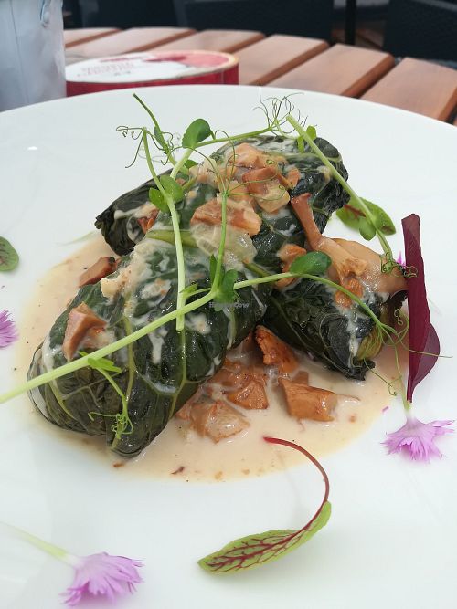 Cabbage rolls with rice and chanterelle sauce at Pod Niebieniem in Poznan